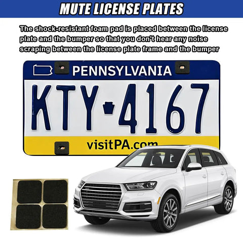 4 Piece Stainless Steel License Plate Screw Set with shock-resistant foam pad for quiet license plate mounting.