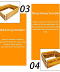 Five Layer Langstroth Beehive Starter Kit Dipped In 100 Percent Beeswax Coated Hive With Two Deep Boxes And Three Medium Super Boxes