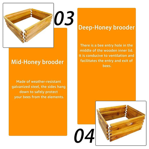 Five Layer Langstroth Beehive Starter Kit Dipped In 100 Percent Beeswax Coated Hive With Two Deep Boxes And Three Medium Super Boxes