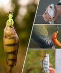 Removable Split Shot Weights For Fishing 1.8G 60Pcs Round Lead Sinker Set Slip On Egg Sinkers For Freshwater And Saltwater Fly Fishing Drop Shot Tackle in use with caught fish.