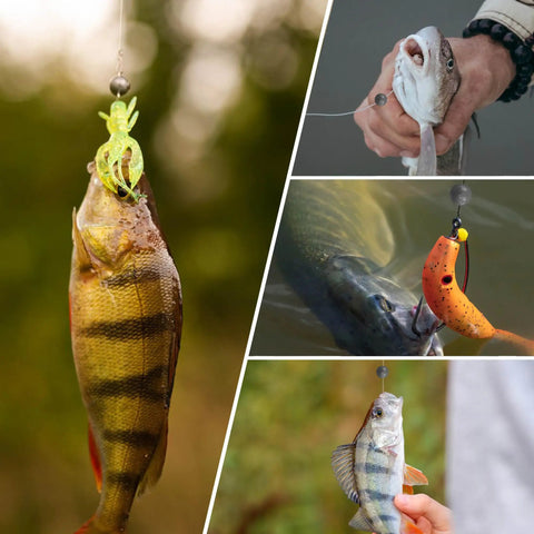 Removable Split Shot Weights For Fishing 1.8G 60Pcs Round Lead Sinker Set Slip On Egg Sinkers For Freshwater And Saltwater Fly Fishing Drop Shot Tackle in use with caught fish.