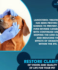 NOVEHA pet drops wash branding beside a dog being examined by a veterinarian with blue gloves