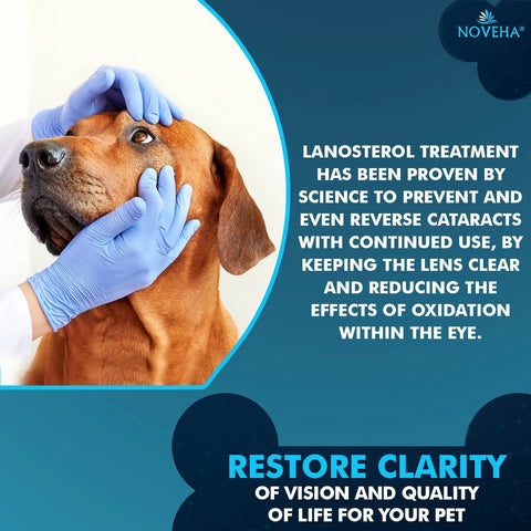 NOVEHA pet drops wash branding beside a dog being examined by a veterinarian with blue gloves