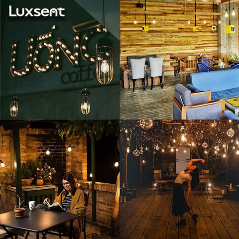 Various settings using Scoreboard Style G50 LED Decorative Bulb For Christmas Lights Warm White 2400K Outdoor IP65 Waterproof Shatterproof