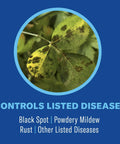 3 In 1 Insecticide And Fungicide For Plants Ready To Spray 32 Oz Boss Level Pest Defense image showing plant leaf with disease spots
