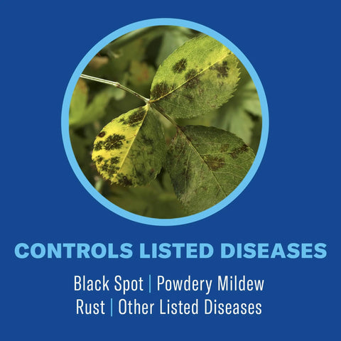 3 In 1 Insecticide And Fungicide For Plants Ready To Spray 32 Oz Boss Level Pest Defense image showing plant leaf with disease spots