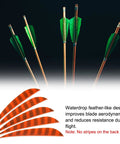 Shield Cut Arrow Vanes 10 Pack Four Inch Turkey Feather Fletching Orange Right Wing displayed next to green-fletched arrows.