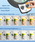 2 In 1 LED Magnifier With Light Desk Lamp Clamp Stand For Crafting And Soldering, 10x Magnification, brightness control features
