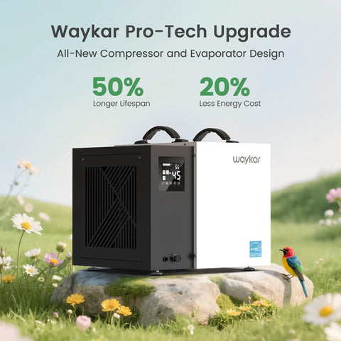 Waykar Pro-Tech Upgrade compact dehumidifier with display on a stone, designed for energy efficiency and long lifespan.