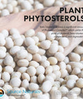 Heavy Duty Beta Sitosterol Capsules 375 Milligrams 120 Count with plant phytosterols, features white plant capsules on a wooden surface.