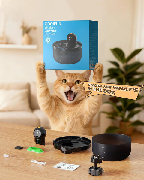 Cat holding box of Wireless Cat Water Fountain Cordless No Cords Needed Battery Operated 88 Oz Black Pet Water Dispenser