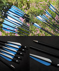 12 Pack 30 Inch Archery Aluminum Arrows With Spine 300 for target practice and hunting field points with durable tips