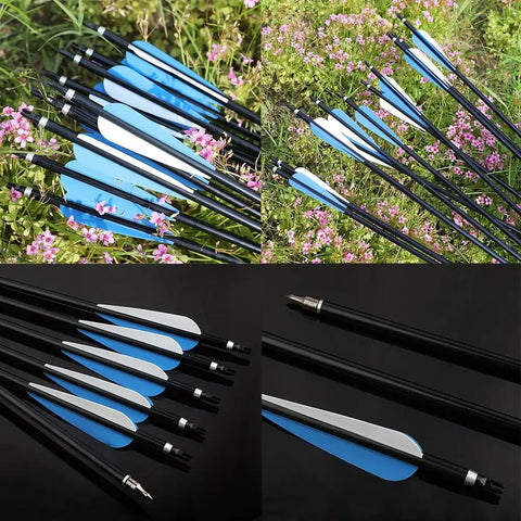 12 Pack 30 Inch Archery Aluminum Arrows With Spine 300 for target practice and hunting field points with durable tips
