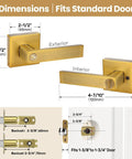 Interior Door Handles With Privacy Lock In Antique Brass Finish Old School Vintage Style Door Levers dimensions and installation details.