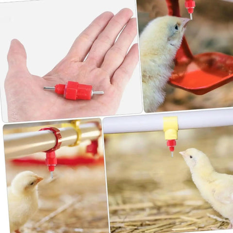 Game Dropping Drip Free Chicken Water Nipples 100 Pack Automatic Poultry Drinkers shown in hand and with chicks.