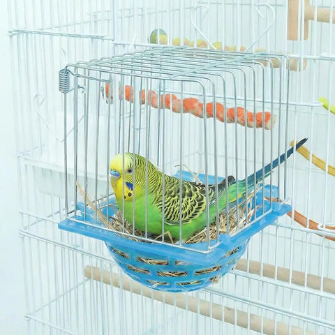 4 Pack Slick Bird Hatching Nest Bowls Featuring A Secure Barbed Wire Partition, green budgie in a blue nesting bowl.