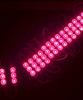 Magenta Hot Pink 40ft LED Light Module For Storefronts With 5630 LEDs Waterproof UL Listed 12V AC Power 80 Modules Ultra Bright Neon Glow