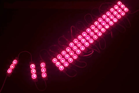 Magenta Hot Pink 40ft LED Light Module For Storefronts With 5630 LEDs Waterproof UL Listed 12V AC Power 80 Modules Ultra Bright Neon Glow