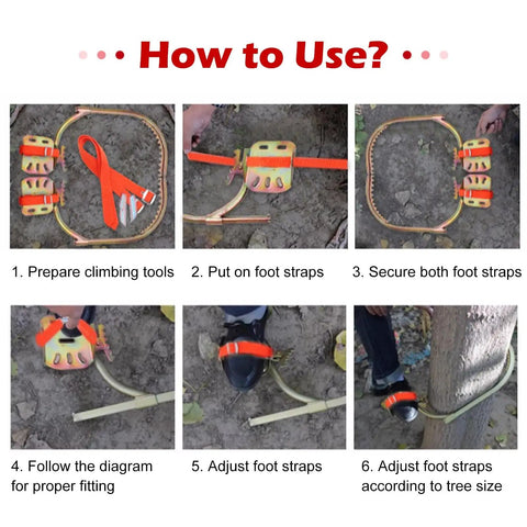 Step-by-step guide to using Palm Tree Climbing Gear With Adjustable Spikes And Foot Pegs Wooden Pole Climbers for coconut palms.