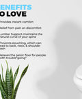 Benefits of Heavy Duty Toilet Lid Back Support Cushion For Seniors And Postpartum Moms Water Resistant Non Slip Lumbar Pillow displayed.