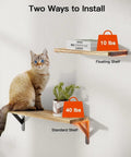 Two designs of Solid Natural Paulownia Wood Floating Shelves Set Of Six, one holding books, the other plant, weight limits shown.