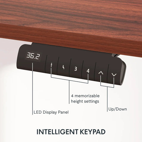 Spacious Flexispot Electric Standing Desk With Dual Motor Three Stage Lift And Memory Presets 55 By Twenty Eight Inches as shown on intelligent keypad.