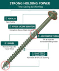 Diagram of a 80 Pcs Timber Screws Self Drilling Size 14 X Two And A Half Inch Heavy-Duty Green Coated Exterior Lag Screws with labels