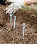 Heavy Duty Lawn Aerator Spikes 10 Pack Replacement Pegs for Lawn Shoes in soil, close-up view.