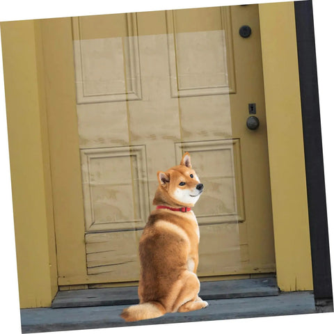 Heavy Duty Self Adhesive Anti Scratch Tape For Sofa Couch And Door Frame Guard With Cat Dog Pet Window Edge Protector No Drama Peel And Stick on a door with a dog looking back.