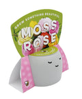Peaceful Face Planter Grow Kit 3 Pack With Aloe Moss Rose And Chamomile Seeds Growing Medium Included Cute Indoor Desk Planters For Windowsill Gardens No Fuss Easy Seed Starter Gift Set For Beginners, featuring the Moss Rose variant with decorative planter