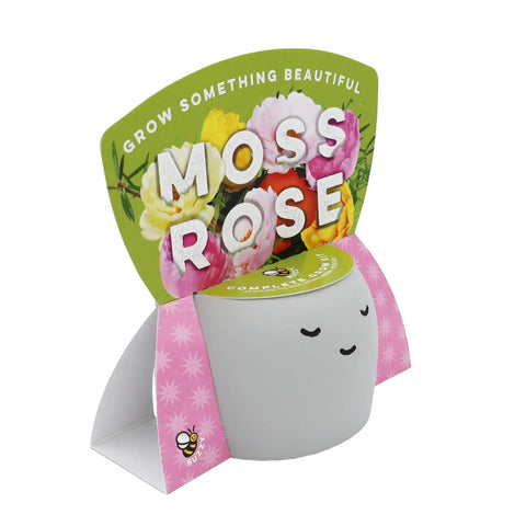 Peaceful Face Planter Grow Kit 3 Pack With Aloe Moss Rose And Chamomile Seeds Growing Medium Included Cute Indoor Desk Planters For Windowsill Gardens No Fuss Easy Seed Starter Gift Set For Beginners, featuring the Moss Rose variant with decorative planter
