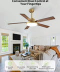 Living room with 52 Inch Gold And Black Ceiling Fan With Lights And Remote App, wooden blades, modern decor.