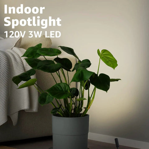 2 Pack Indoor Spotlight LED Uplights For Plants 120V Floor Accent Lighting 3W Warm White 3000K light highlighting a plant