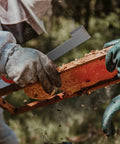 Beekeeper using Five Pack Beehive Tool Set With J Hook Frame Lifter And Scraper Stainless Steel Beekeeper Tools With Red Handles