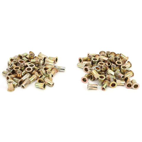 Badass Heavy Duty Zinc Coated Rivet Nut Kit Including One Hundred Assorted Sizes for automotive repairs and metalworking, showing assorted rivet nuts.