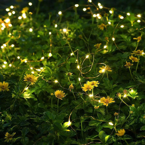 Pack Of 20 Fairy String Lights 6.6ft Battery Operated Silver Copper Wire With 20 LEDs Starry Warm White on green foliage