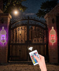 Garita Coqui Frog Wall Lamp With Sound Multi Color Changing Light Remote Controlled Night Light for garden entrance