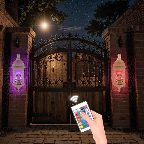 Garita Coqui Frog Wall Lamp With Sound Multi Color Changing Light Remote Controlled Night Light for garden entrance