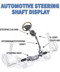 Automotive steering shaft display with labeled steering column, intermediate shaft, and U-joint couplings