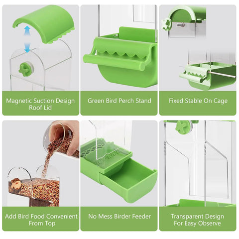 No Fuss Acrylic Automatic Bird Feeder With Sturdy Perch For Cage showing features like magnetic lid and green perch.