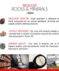 Lodestone Magnet Mineral Specimen Hand Processed And Geologist Selected About 1 Inch Dope For Science Classrooms