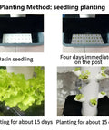 Planting stages in Aeroponic Tower Garden System For Indoor And Outdoor Growing Soilless Kit Made For Lettuce Herbs Vegetables and more