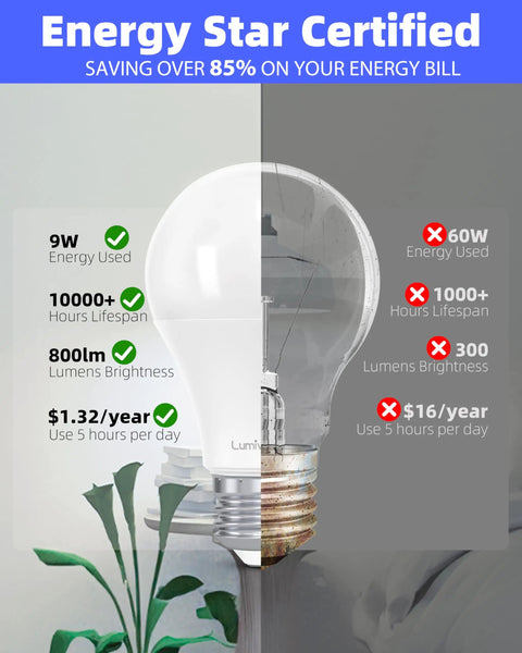 Comparison of Bright A19 LED Light Bulbs 60W Equivalent 9W Soft White 2700K 800 Lumens E26 Base with traditional bulb