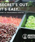 Trays of assorted microgreens including red and green varieties at Mountain Valley Seed Co.