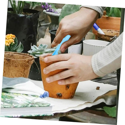 12 Piece Bonsai Tool Set For Succulents And Seedlings Durable Garden Hand Tools For Transplanting Pruning And Plant Maintenance Great For Small Spaces Indoor Gardens And Plant Lovers, blue tool in hand repotting succulent in terracotta pot