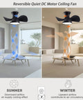22" Modern Small Ceiling Fan with Light, matte black DC motor ceiling fan demonstrating summer and winter airflow direction.