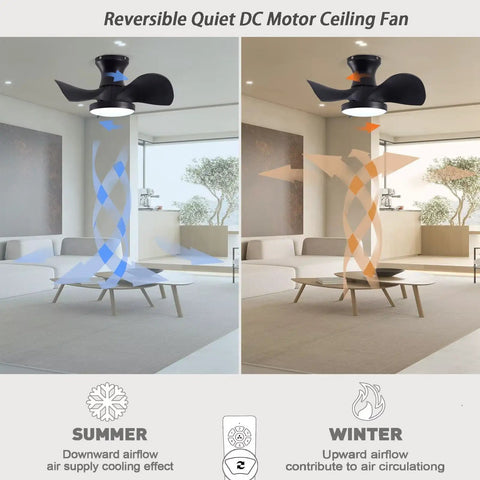 22" Modern Small Ceiling Fan with Light, matte black DC motor ceiling fan demonstrating summer and winter airflow direction.