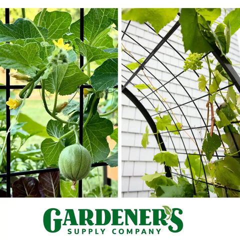 Arch Trellis For Elevated Planter Boxes 2x4 Garden Arbor For Climbing Plants Vegetables And Flowers, Heavy Duty Steel Frame