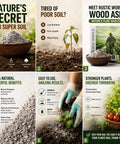 Collage of Rustic World wood ash for plants, emphasizing natural soil enhancement and gardening benefits with product demonstrations.