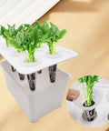 Six Holes Seedling Kit For Hydroponics Growing System with seedlings in a PP box on a windowsill
